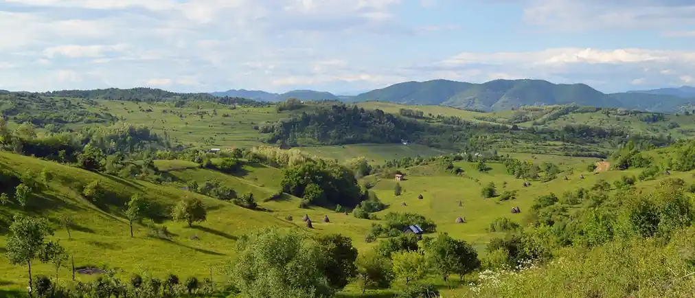 Rolling green hills and woodland in the Romanian countryside under a blue sky
